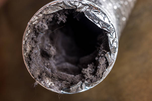 Best Affordable HVAC Duct Cleaning  in Elgin, OR
